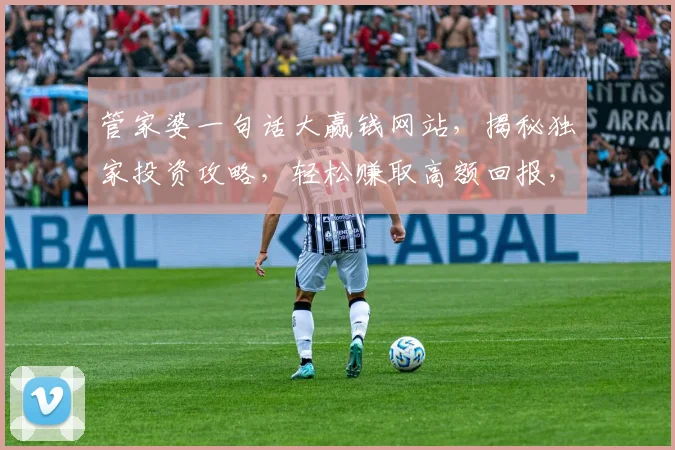 管家婆一句话大赢钱网站，揭秘独家投资攻略，轻松赚取高额回报，必看