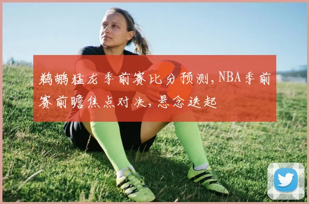 鹈鹕猛龙季前赛比分预测,NBA季前赛前瞻焦点对决,悬念迭起