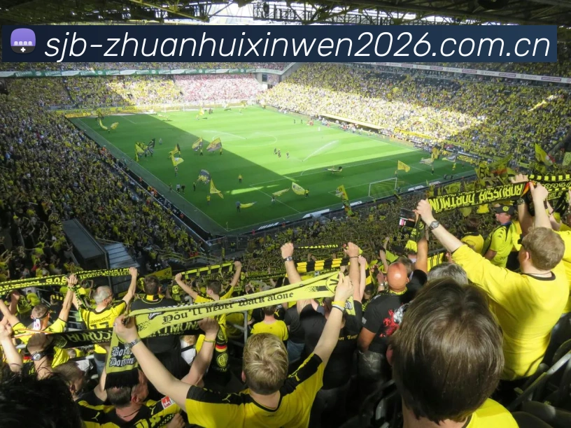 世界杯转会新闻2026品牌故事